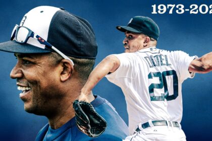 Dotel Scaled Photo